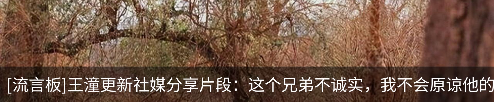 新闻动态
